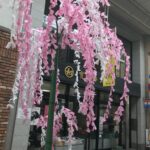 ソシオ一番街の飾り
