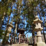 Lanterns and trees