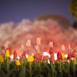 鶴舞公園の桜とチューリップ