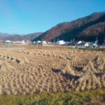 好きな写真！