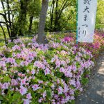 於大祭り＠於大公園