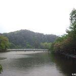 臥竜公園　竜ヶ池１