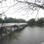 臥竜公園　竜ヶ池２