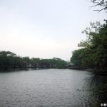 臥竜公園　竜ヶ池４