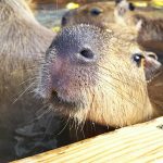 気持ちいいよ～