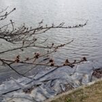 春はもう少し