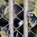 須坂市動物園　フォトコンテスト