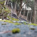山里の自然