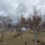 春はもうちょっと先のことでしょ
