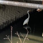 河川