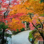 揚輝荘の紅葉