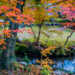揚輝荘の庭園