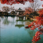 臥竜公園の東屋