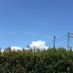 青空と灌水