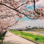 東雲の道