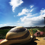 ででむし広場