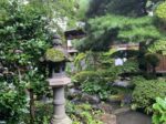 C3B86455-79D0-491C-A167-5F268F0510F3.jpeg