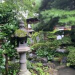 夏の緑