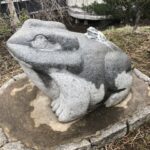 カエル