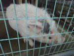 DSC06605.JPG