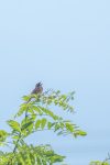DSCF6176-Edit.jpg