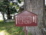 IMAG0822.jpg