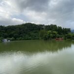 竜ヶ池の夏