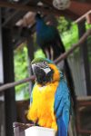 IMG_0640.JPG