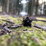 micro world