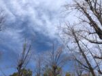 IMG_4701.jpeg