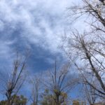 IODD2021の日の空
