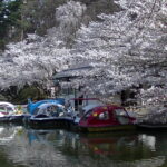 須坂の自然