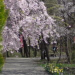須坂の自然