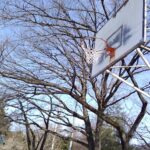 学校の風景