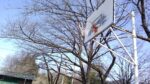 WIN_20210301_09_15_13_Pro.jpg