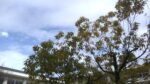 WIN_20210302_09_07_28_Pro.jpg