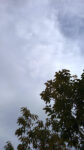 WIN_20210302_09_09_41_Pro.jpg