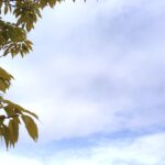 空