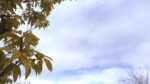WIN_20210302_09_10_20_Pro.jpg