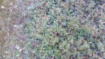 WIN_20210302_09_10_23_Pro.jpg