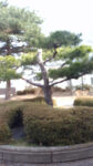 WIN_20210302_09_11_41_Pro.jpg