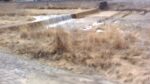 WIN_20210302_09_14_08_Pro.jpg
