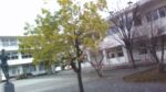 WIN_20210302_09_15_44_Pro.jpg