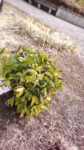 WIN_20210302_09_16_08_Pro.jpg