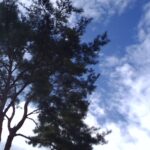 綺麗な写真