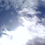 葉っぱ