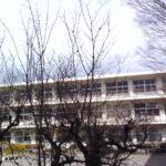 中庭