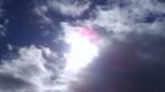 WIN_20210302_09_23_30_Pro.jpg