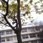 学校