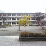 木